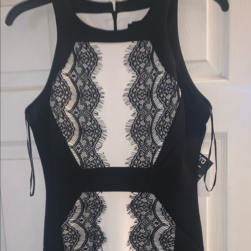Sangria Petite Dress, Size 4P